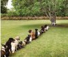 patience-1-1.jpg
