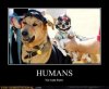 demotivational-posters-humans1.jpg