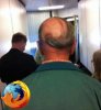 firefox.jpg