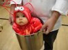 lobster baby costume.jpg