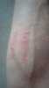 2012-09-30_17-26-38_563.jpg 2012-09-30_17-26-38_563.jpg