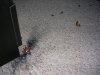 DSCN3585.jpg
