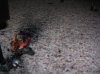DSCN3586.jpg