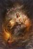 Fairy_and_Dragon_by_jarling_art.jpg