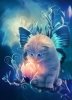 fairy_kitty_by_marilucia-d4u8wfv.jpg