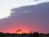 Botswana_sunrise.jpg