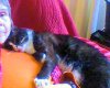 upload_2019-10-1_18-21-5.jpeg