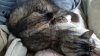 20191030_080407.jpg