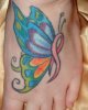 DSC01737.jpg