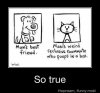 catdog.jpg