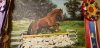 upload_2019-11-21_18-47-18.jpeg