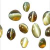 cats-eye-250x250.jpg
