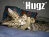 Hugs.jpg