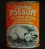 possum stew.jpg