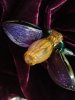fleurdelis2.jpg