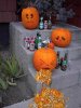 vomiting-pumpkin.jpg