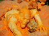 Zombie-Pumpkin-Carving,7-0-313884-13.jpg