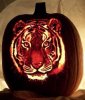 tiger pumpkin.jpg