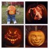 1008-pumpkin-carve-comp.jpg