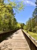 boardwalk1.jpg