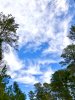 sky.jpg