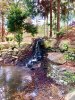 water1.jpg