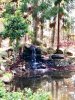 water2.jpg