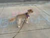 family walk3.jpg