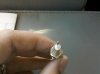 IMG_20100910_091819.jpg