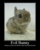 EvilBunny.jpg