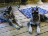 DSCN0385.jpg