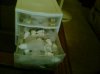 Snapshot_20101010_3.jpg