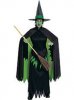 wicked witch.jpg