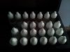 20121029_145617.jpg