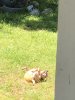 F9915768-F893-4959-BE89-04EC064C787A.jpeg