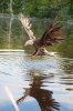 FB_IMG_1589208128059.jpg
