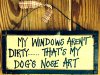 Dog Windows.jpg