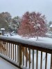 30Oct20 Snow.jpg