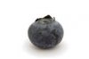 blueberry.jpg