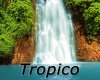 tropico.jpg