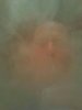 uploadfromtaptalk1354167114412.jpg