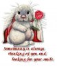 BunnyHugs.jpg