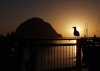 morro rock sunset.jpg