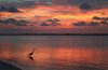 pensacola.jpg