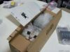 NewCatArrives.jpg