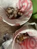 flavorings 2.jpeg