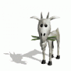 graphics-goats-700509.gif