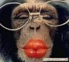 monkey llips.jpg