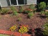 curbing and garden 3.jpeg