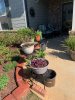 curbing and garden 4.jpeg